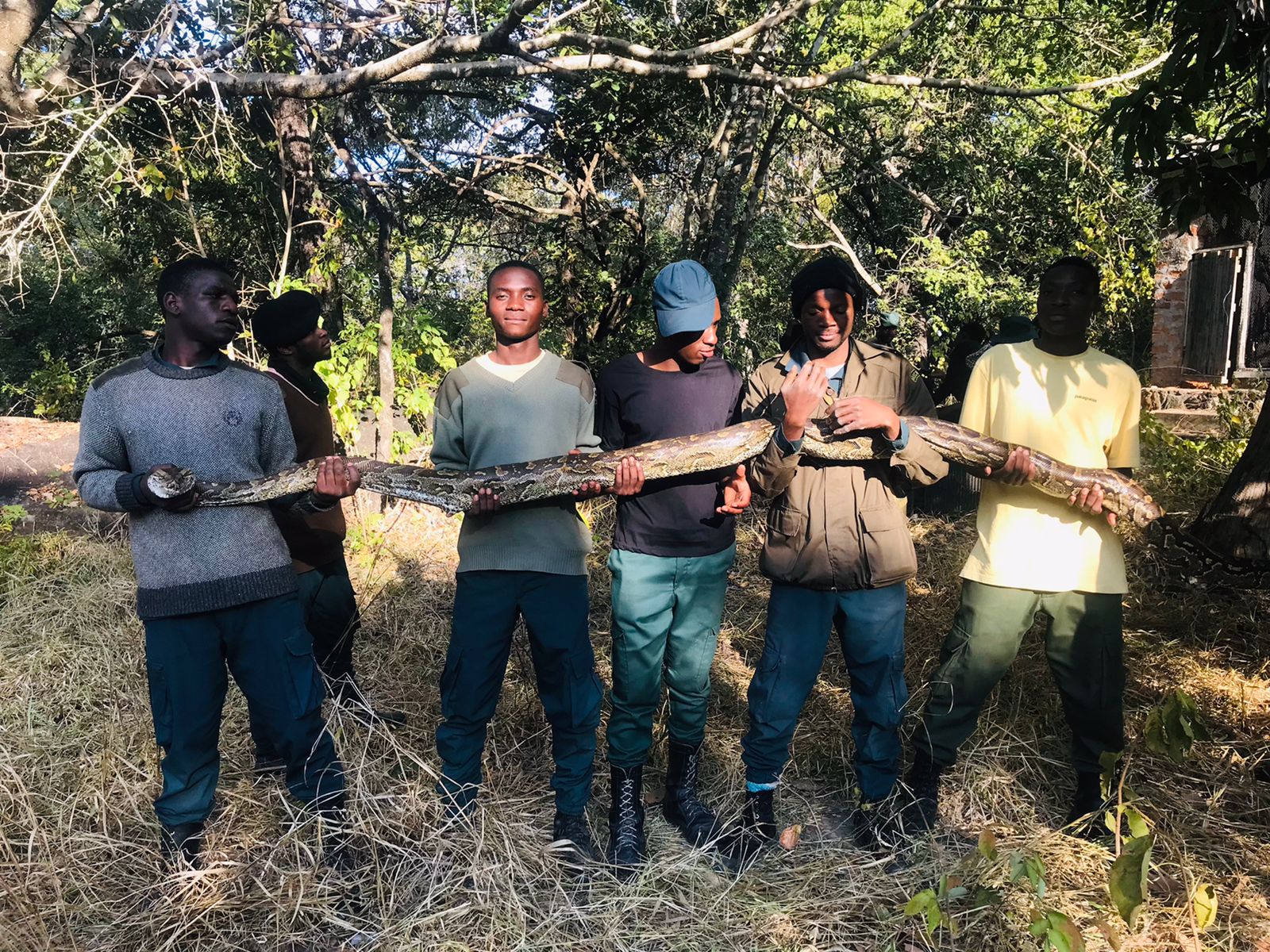 Florestas e Fauna Bravia