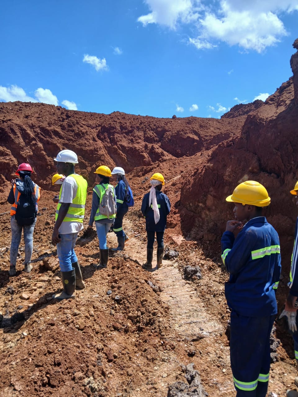 Visitas a mineradoras